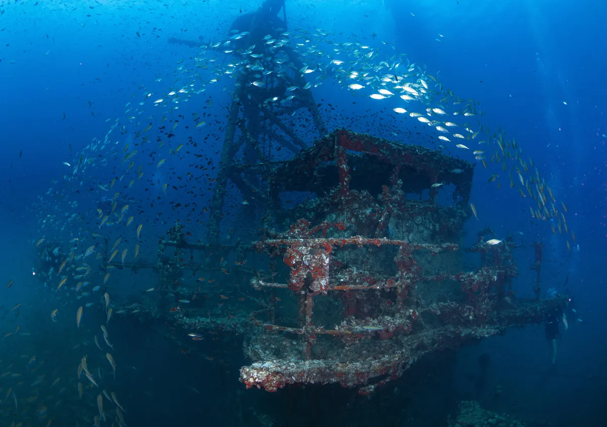 Schooling fish circling an underwater wreck