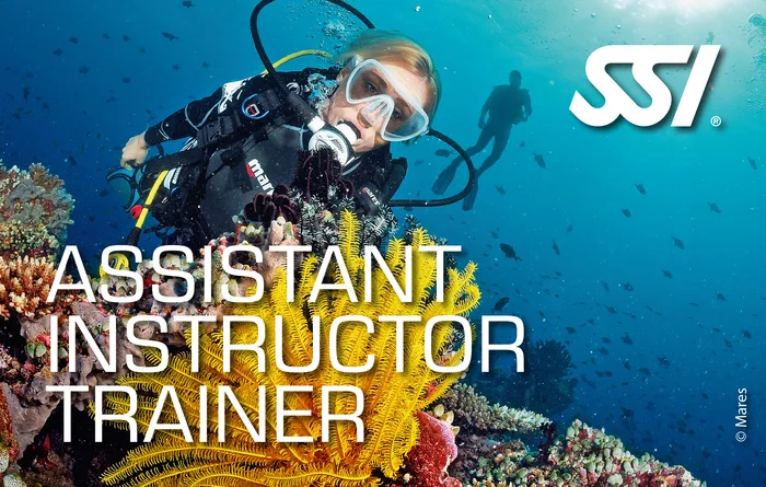 Assistant Instructor Trainer training