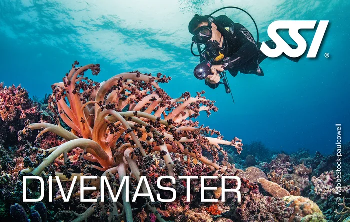 Professional diver completing SSI Divemaster training in Khao Lak, Thailand