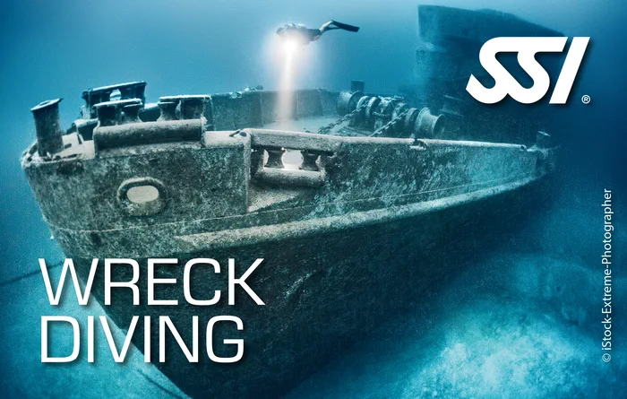 Diver exploring an underwater wreck covered in marine growth — SSI Wreck Diving specialty