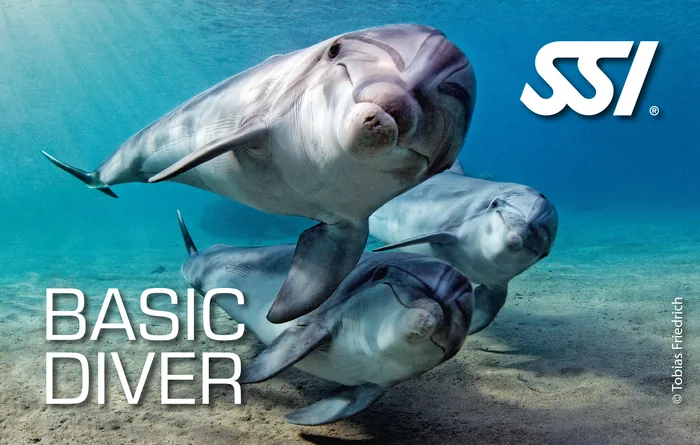 First-time diver practising skills in shallow sheltered water before their first underwater experience in Thailand