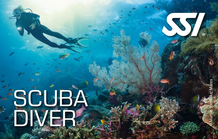 SSI scuba student practising equalisation and buoyancy skills in calm sheltered water during Open Water Diver training in Khao Lak