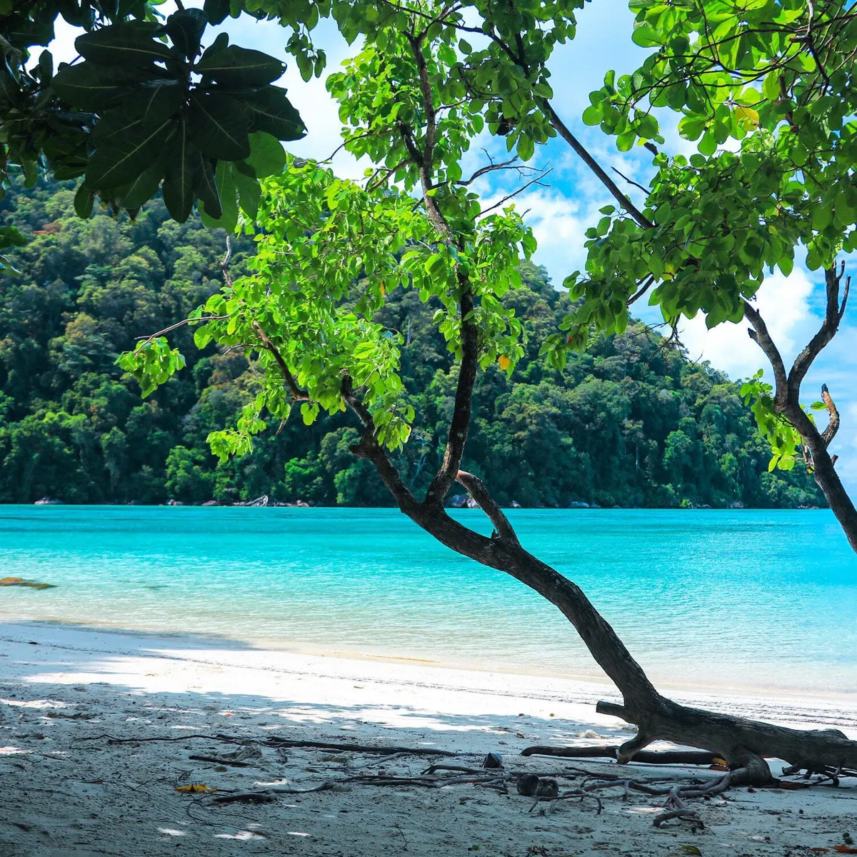 White sand beach and turquoise water at the Surin Islands