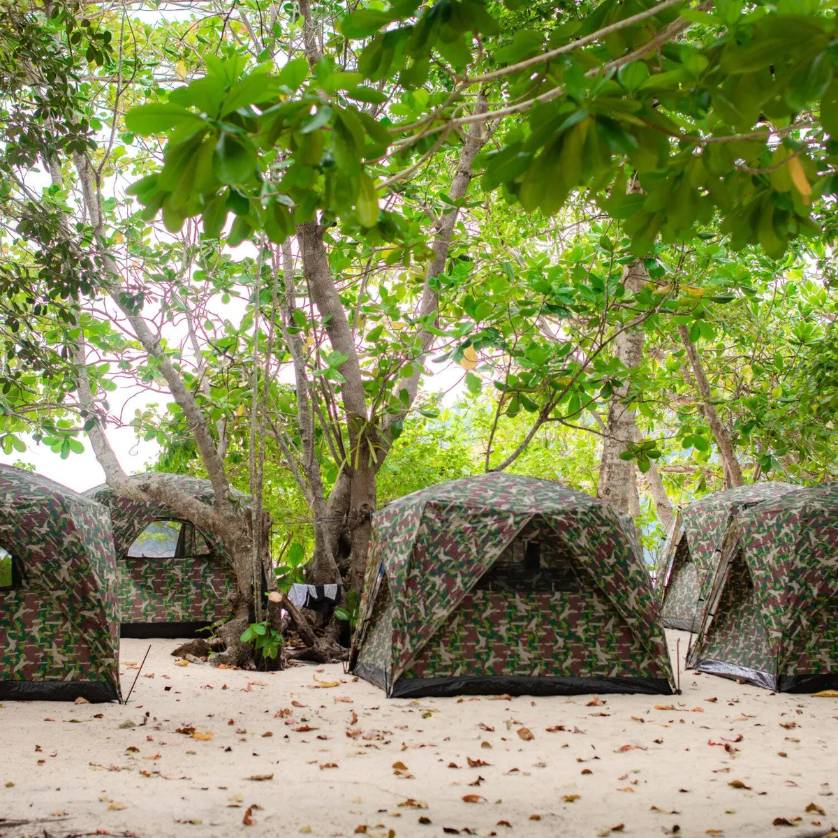 National park camping tents beneath trees on the Surin Islands