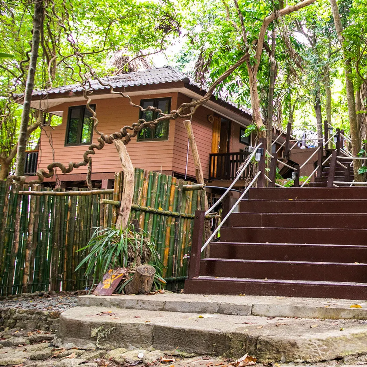 Optional national park bungalow surrounded by forest