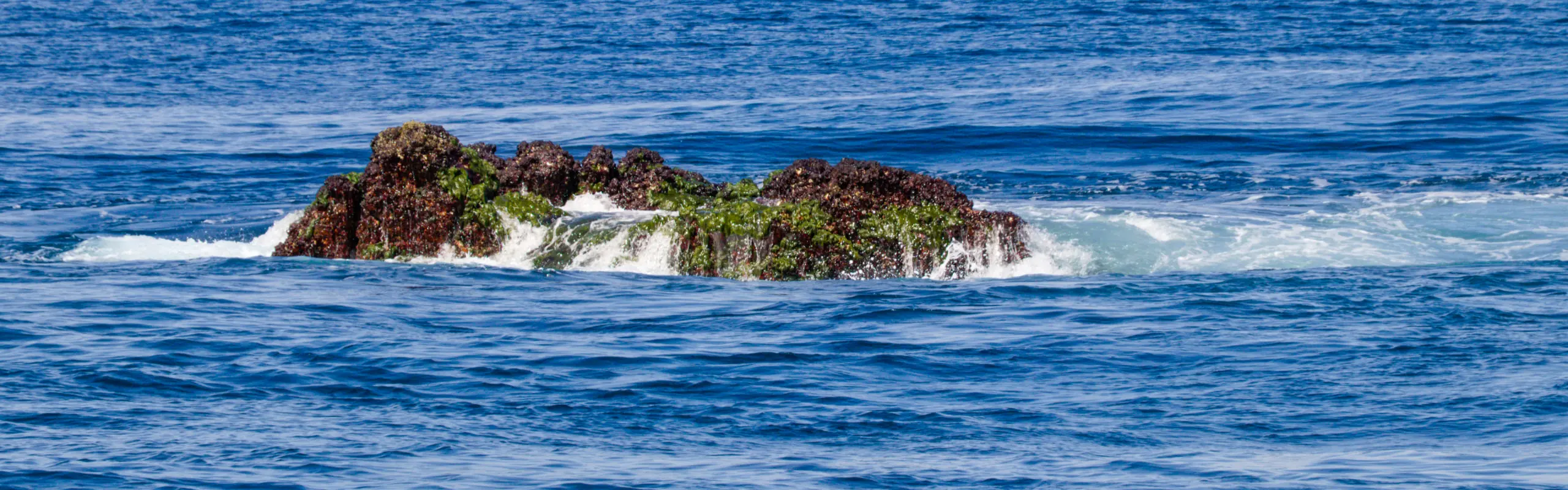 Richelieu Rock breaking the surface of the Andaman Sea, with waves washing over it
